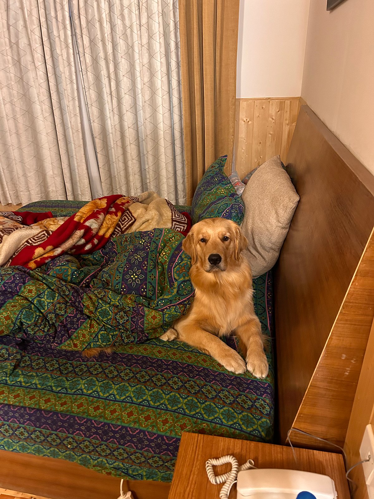 Theia in Jispa, still lounging in bed at 5am 