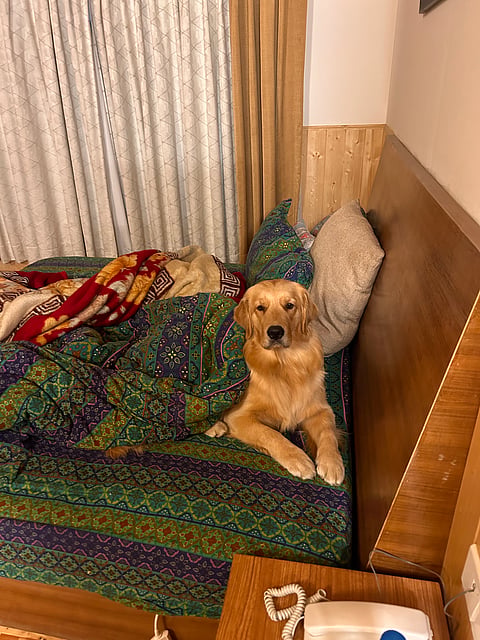 Theia in Jispa, still lounging in bed at 5am 