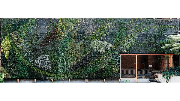 BLRairport/Facebook : “Tiger Wings” is a 30-foot-high and 160-foot-wide vertical garden at Terminal 2 of Kempegowda International Airport in Bengaluru