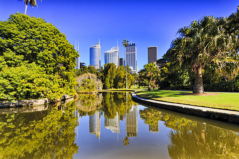 The view of the CBD from the Royal Botanic Garden Sydney