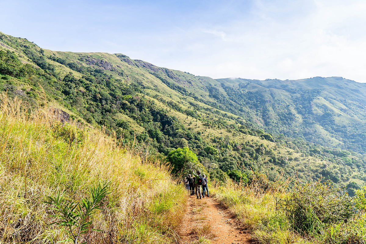 Shutterstock : The Brahmagiri Hills are located in the Wayanad District of Kerala and in the Koduk District of Karnataka. 
