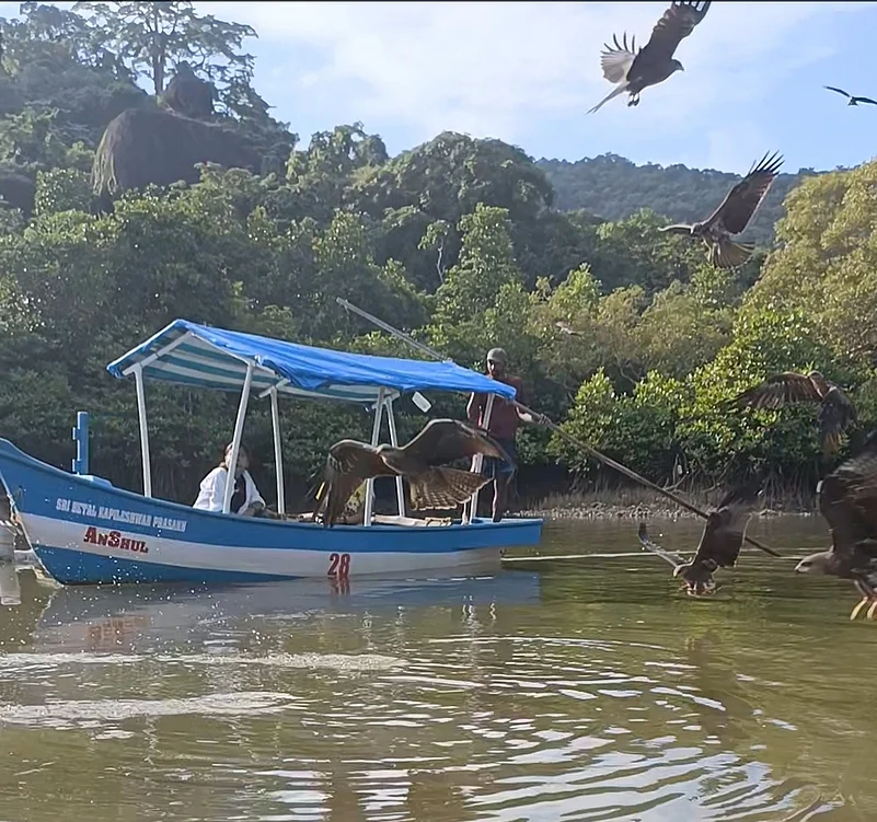 A crescendo of shrill birdcall rent the air as the eagles flew very low over the waters