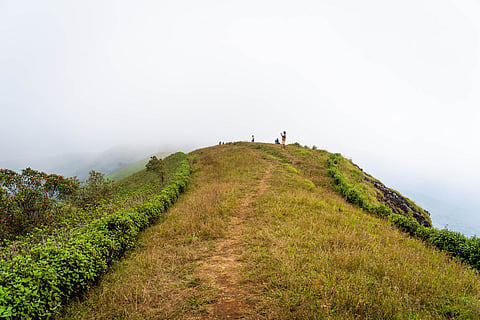 The Brahmagiri Hills 