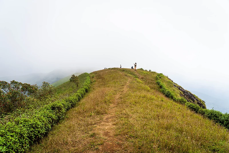 The Brahmagiri Hills