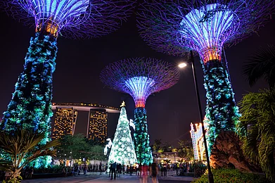 Shutterstock : Christmas Wonderland at Gardens by the Bay