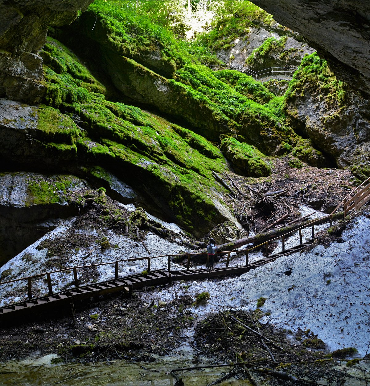 The Scărişoara cave or Scărişoara Glacier shelters the largest underground glacier in Romania