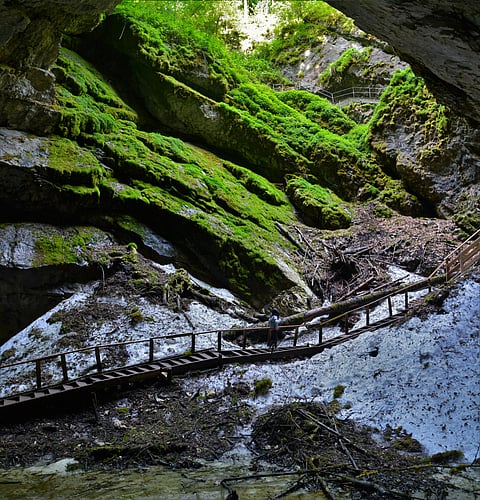 The Scărişoara cave or Scărişoara Glacier shelters the largest underground glacier in Romania