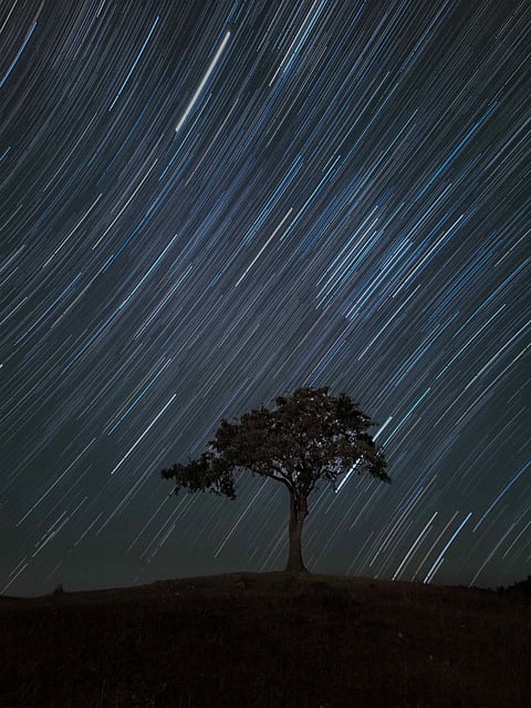 Nakshatra Sabha also promotes Uttarakhand’s natural heritage through sustainable practices like a no-trace policy and reusable materials