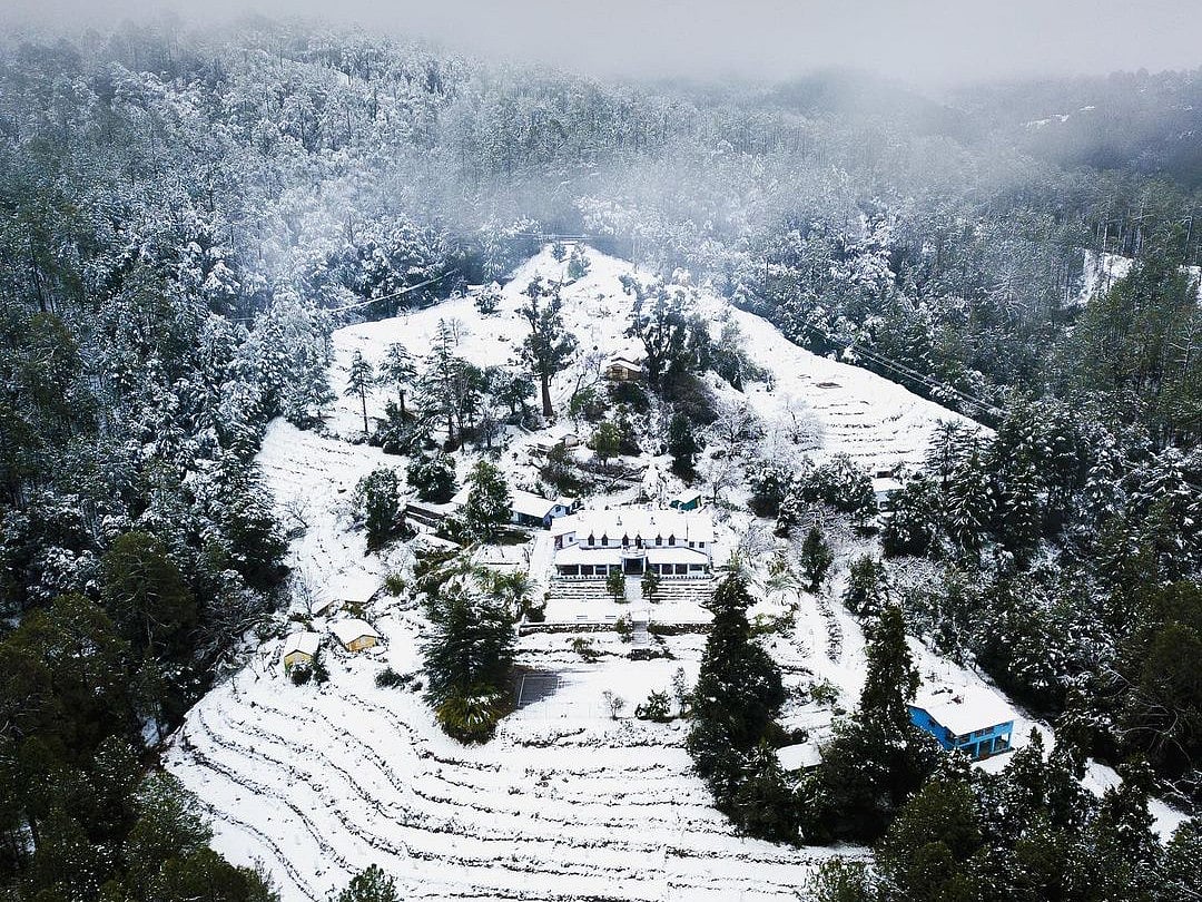 The Holm Farm Heritage is situated among pine and oak forest groves