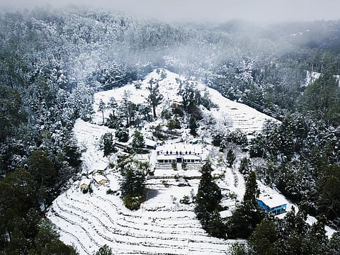 The Holm Farm Heritage is situated among pine and oak forest groves