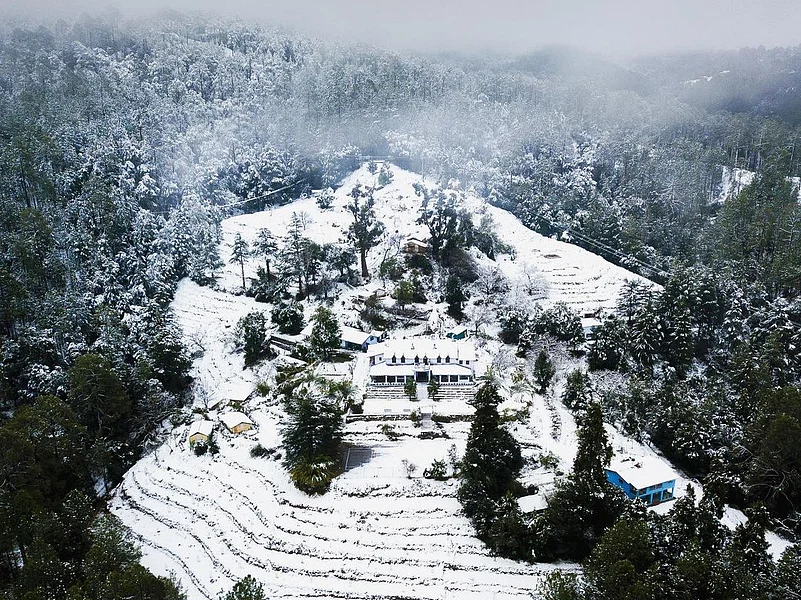 The Holm Farm Heritage is situated among pine and oak forest groves