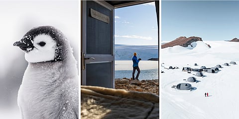 Cross off bucket list adventures like visiting the South Pole, ice climbing, hiking over ice waves and coming face-to-face with 28,000 emperor penguins in Antarctica