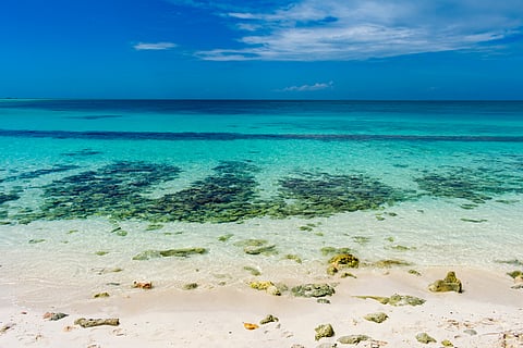 The shallow waters of the North Malé Atoll