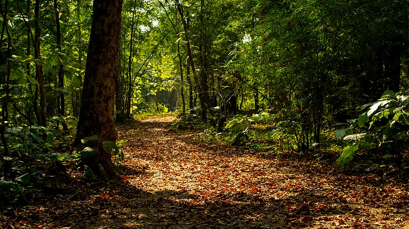 Moses Manobhilash/Shutterstock