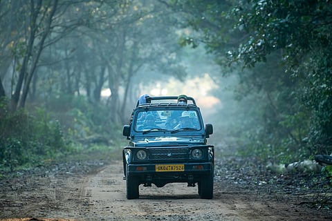 The forest service has stated that the safari would be offered for an affordable price