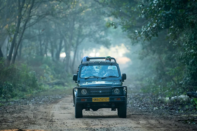 The forest service has stated that the safari would be offered for an affordable price