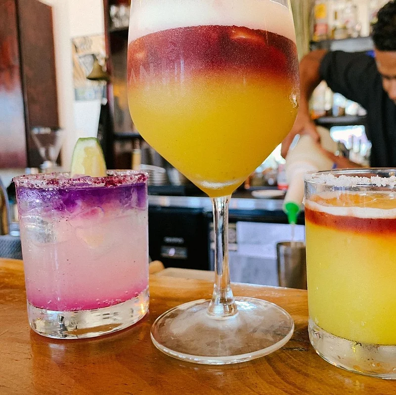 Sample curated cocktails featuring house-made flower infusions, herbal brews and spiced kombucha