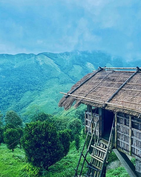 At the Nokrek National Park, Meghalaya