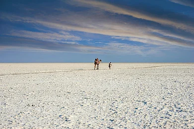 Shutterstock : The Great Rann of Kutch is one of the largest salt deserts in the world