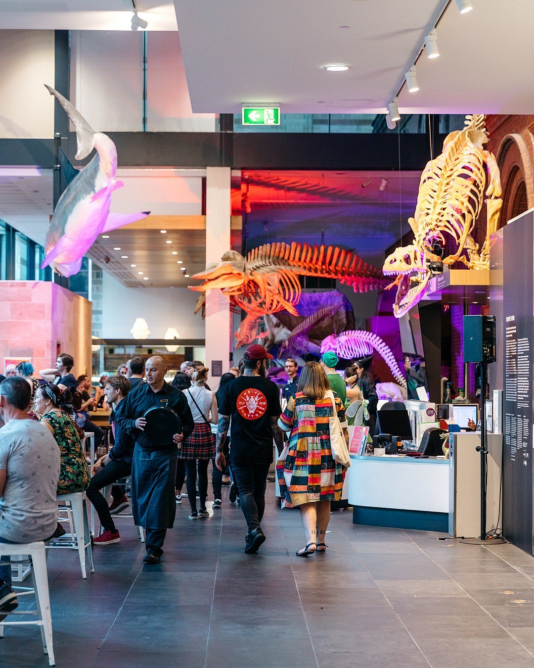 Inside the South Australian Museum