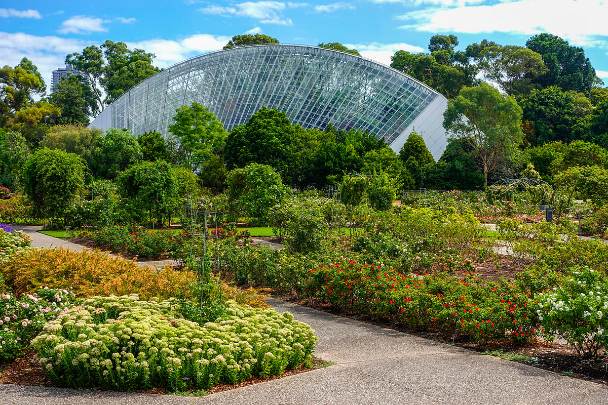 The Adelaide Botanic Garden is an oasis in the heart of the city