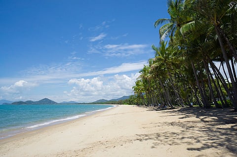 Palm Cove Beach