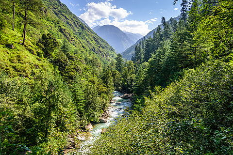 A stream in the Great Himalayan National Park