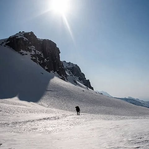 The winter landscape of Inderkilla National Park