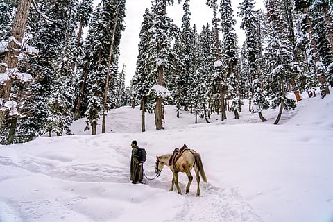 A man leads a horse in Sonamarg
