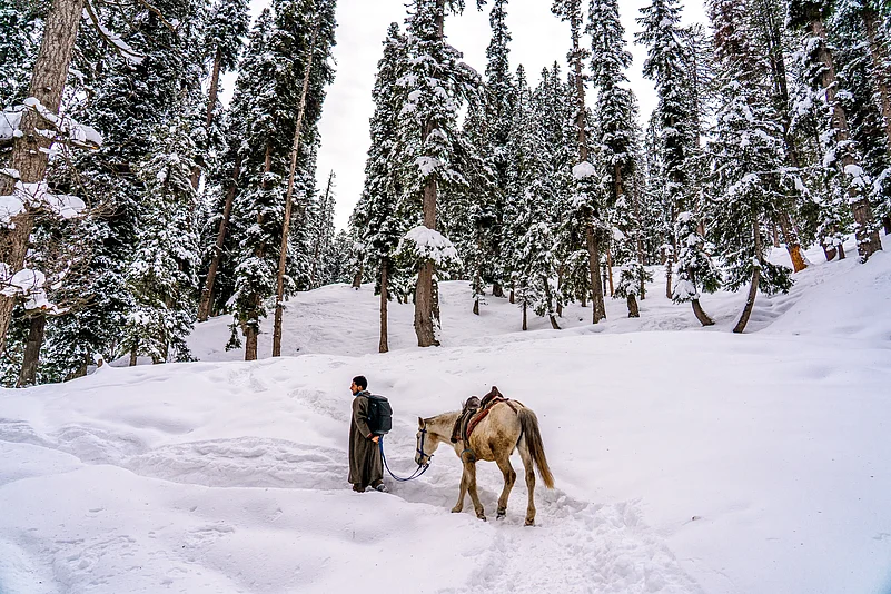 A man leads a horse in Sonamarg