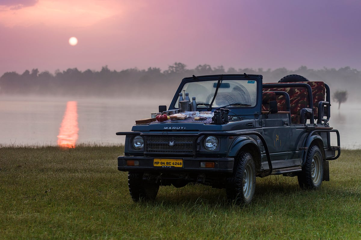 Enjoy breakfast on safari 