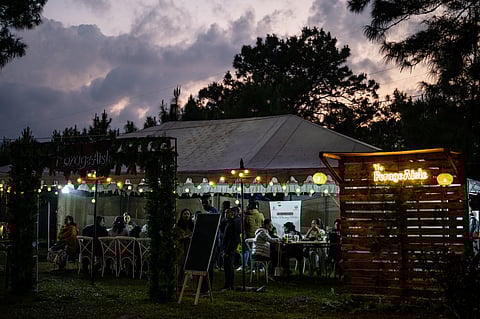 The Forage Aisle offers an immersive experience with Meghalaya's wild edibles and traditional flavours