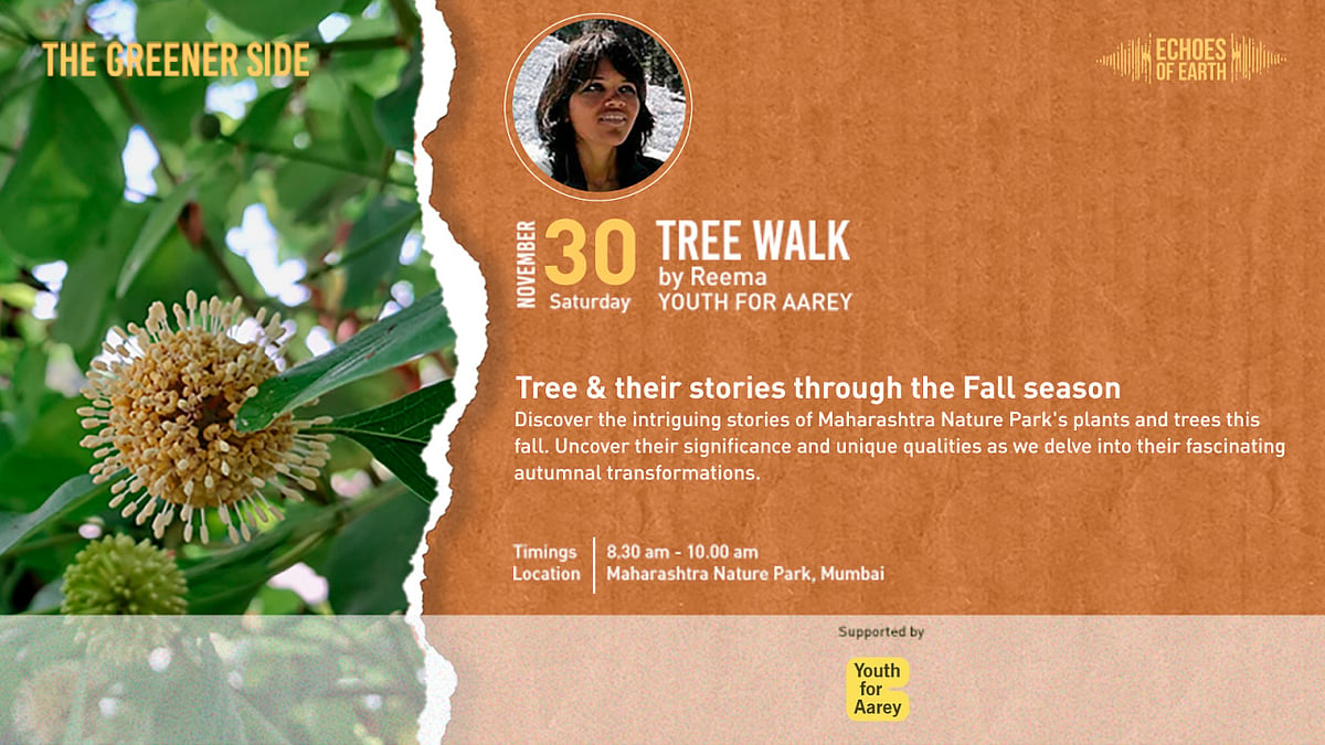 Admire the colours and significance of Maharashtra Nature Parks trees with a guided tour