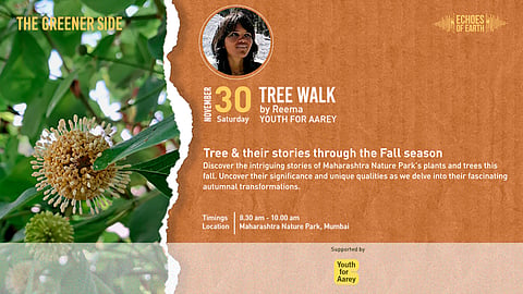 Admire the colours and significance of Maharashtra Nature Park's trees with a guided tour