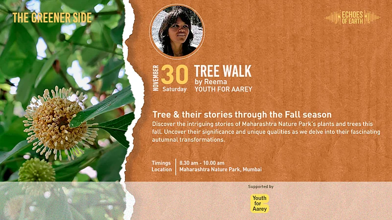 Admire the colours and significance of Maharashtra Nature Parks trees with a guided tour