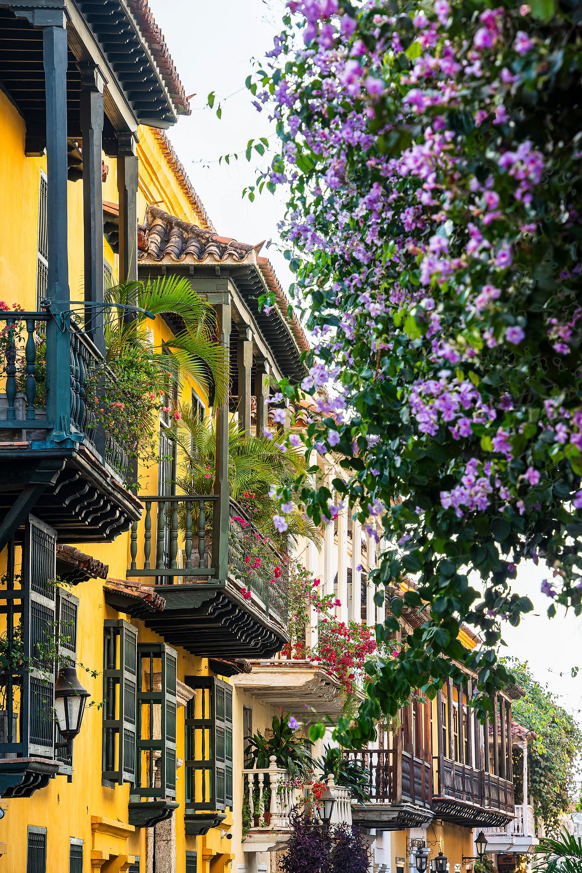 Shutterstock : A quaint nighbourhood in Cartagena, Colombia