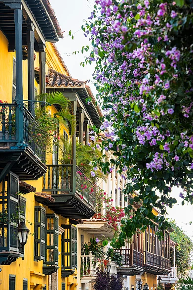 Shutterstock : A quaint nighbourhood in Cartagena, Colombia