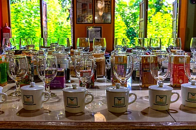 trabantos/Shutterstock : Tea-tasting at the Handunugoda Tea Estate, a 200-acre tea plantation nestled within the Sinharaja Rainforest