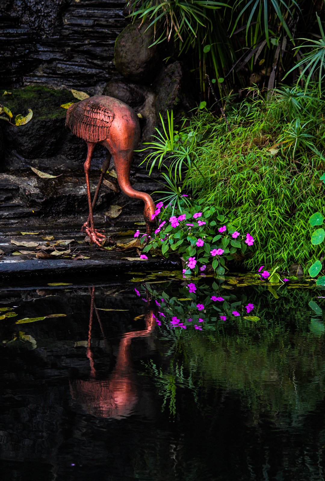 The Pavana Dam Park in Lonavala