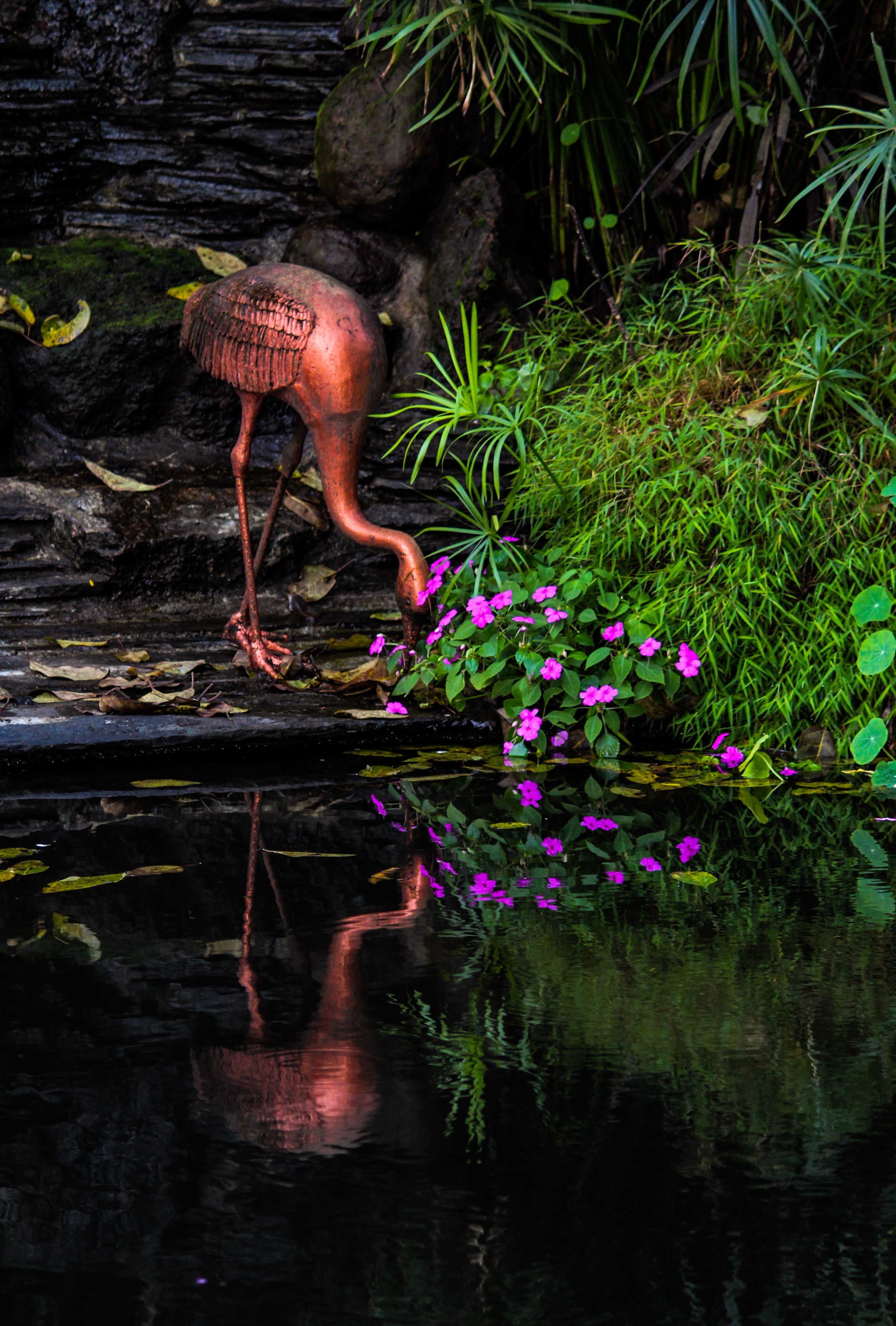 The Pavana Dam Park in Lonavala
