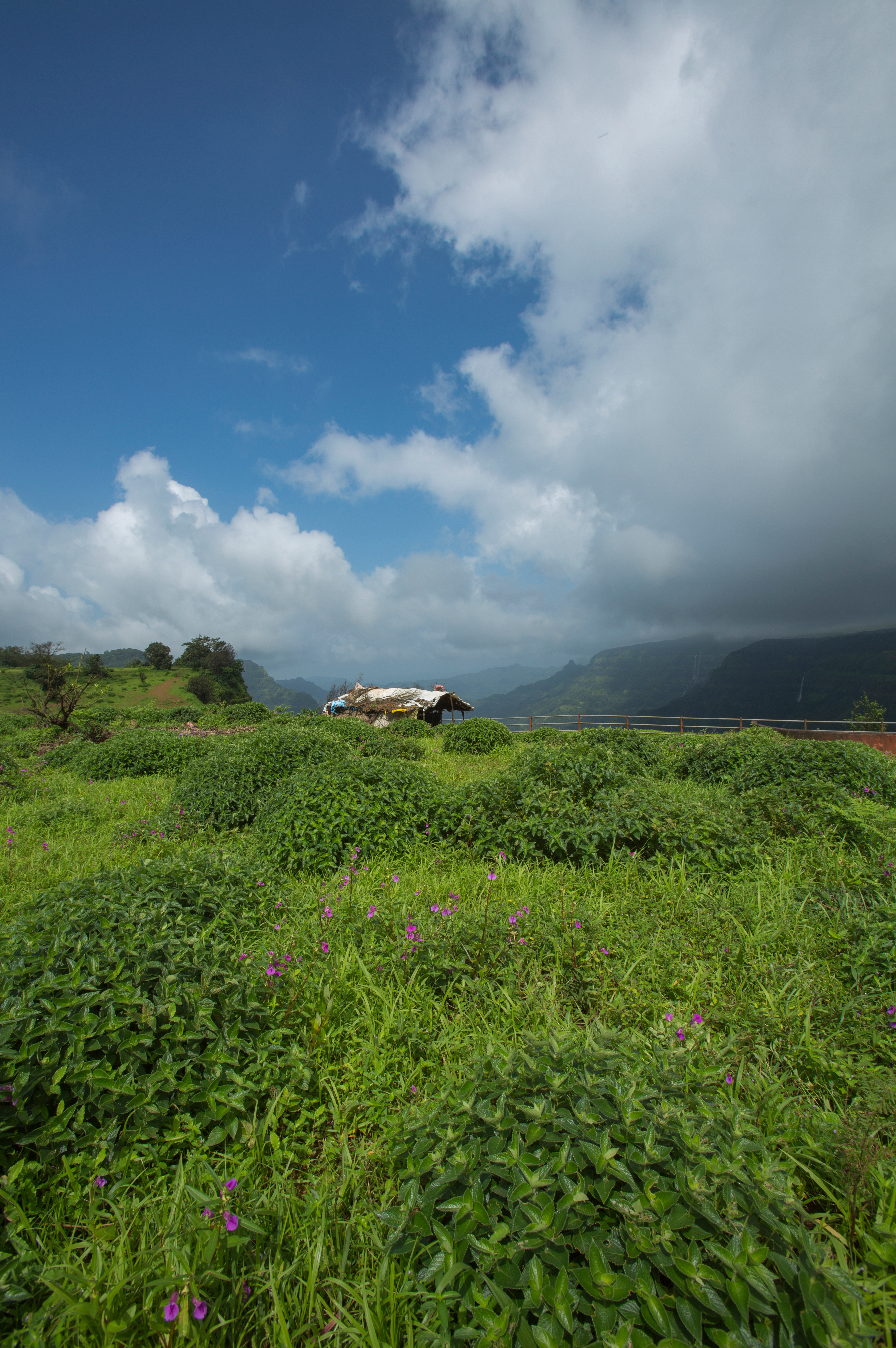 A view of the Kavlesaad Point near Amboli hill