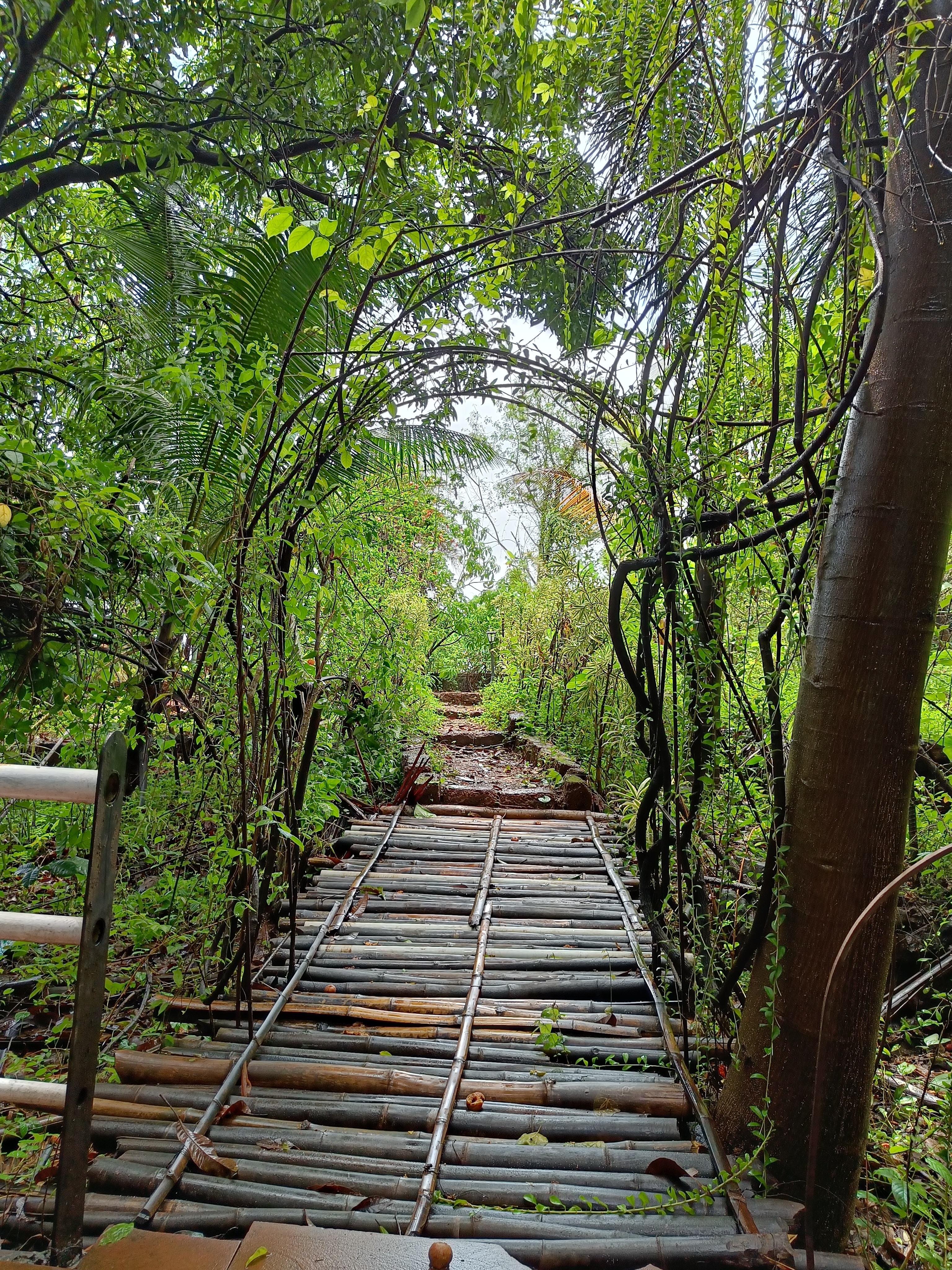 The landscape of Karjat