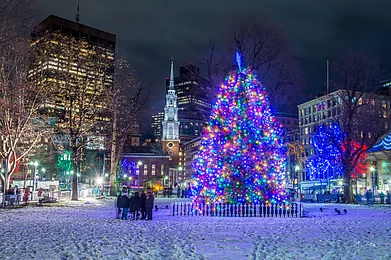 Shutterstock : A beautiful shot of the Christmas tree in Boston at night
