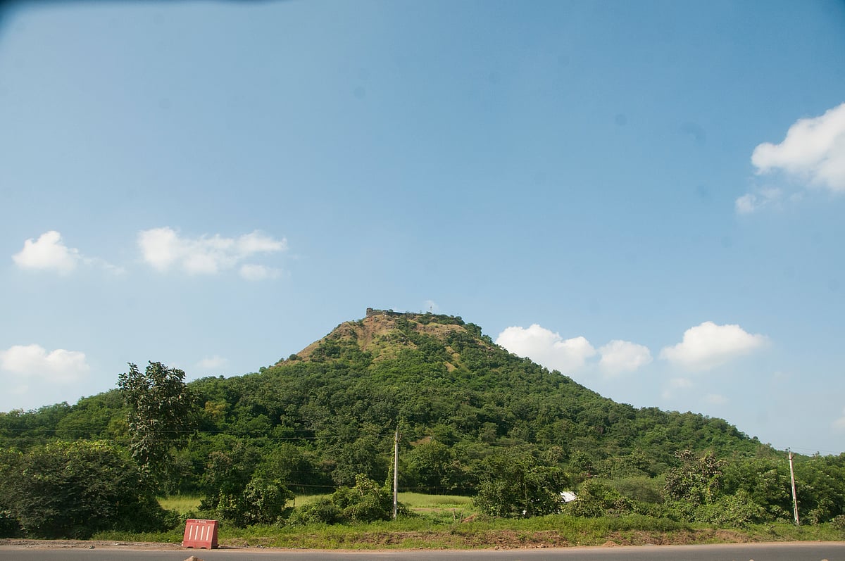 The lush greenery around Asirgarh Fort