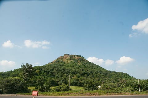 The lush greenery around Asirgarh Fort