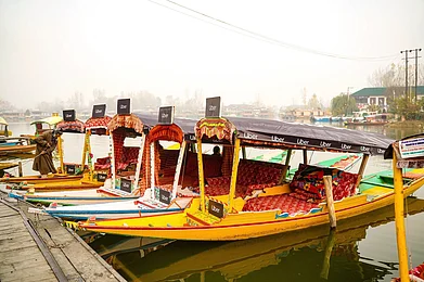 Twitter/Uber India : The Uber Shikara