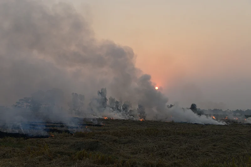 The smoke from stubble burning in northern India