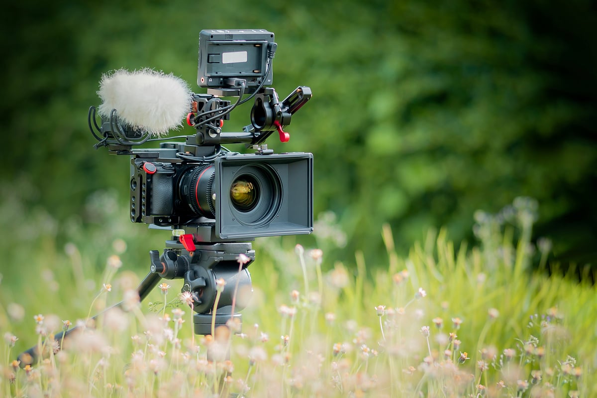 bombermoon/Shutterstock : As India’s premiere showcase of climate stories and the environment, the ALT EFF 2024 audience can expect powerful stories on regeneration, activism, crisis and hope