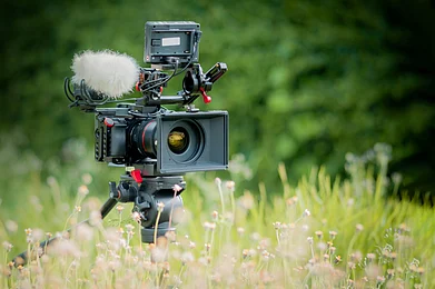 bombermoon/Shutterstock : As India’s premiere showcase of climate stories and the environment, the ALT EFF 2024 audience can expect powerful stories on regeneration, activism, crisis and hope
