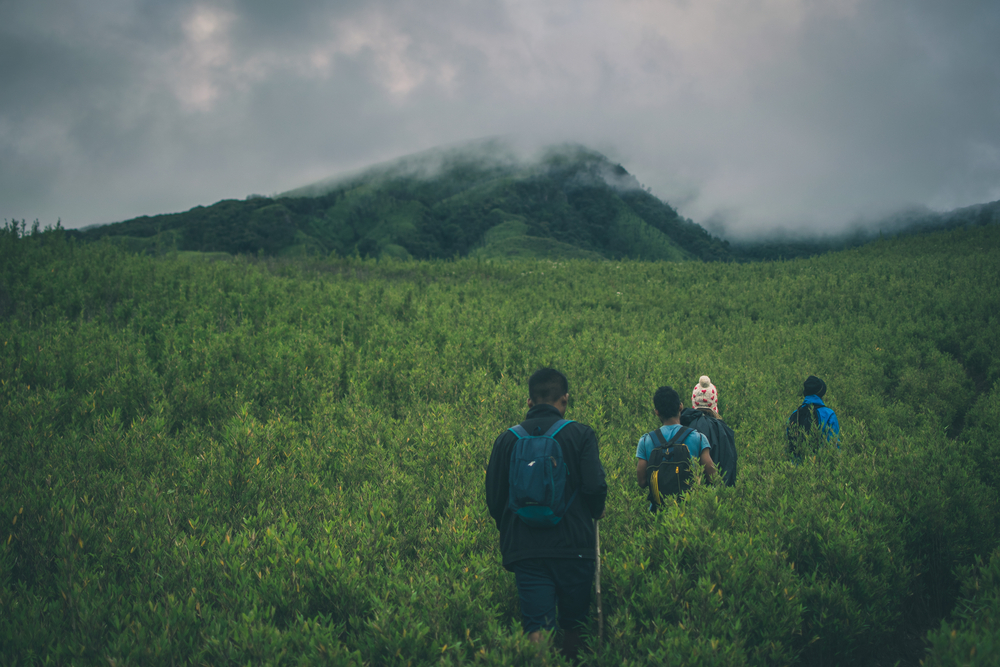 A group of people hiking in Dzukou Valley - Wirestock Creators/Shutterstock